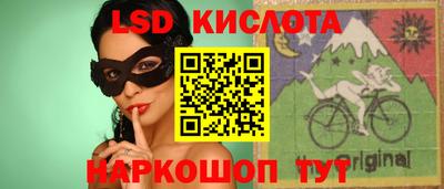 крисы Новодвинск