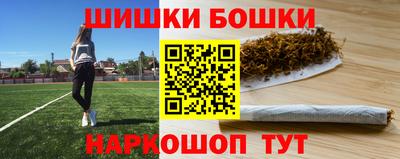 крисы Новодвинск