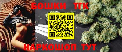 крисы Новодвинск