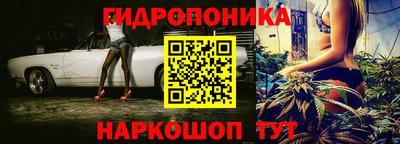 крисы Новодвинск