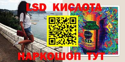 крисы Новодвинск