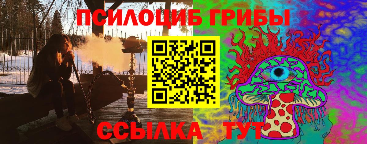Галлюциногенные грибы Psilocybe Белогорск