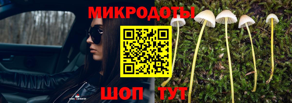 Белогорск  Псилоцибиновые грибы мицелий  Вход с VPN 